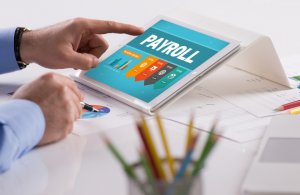 Small business STP